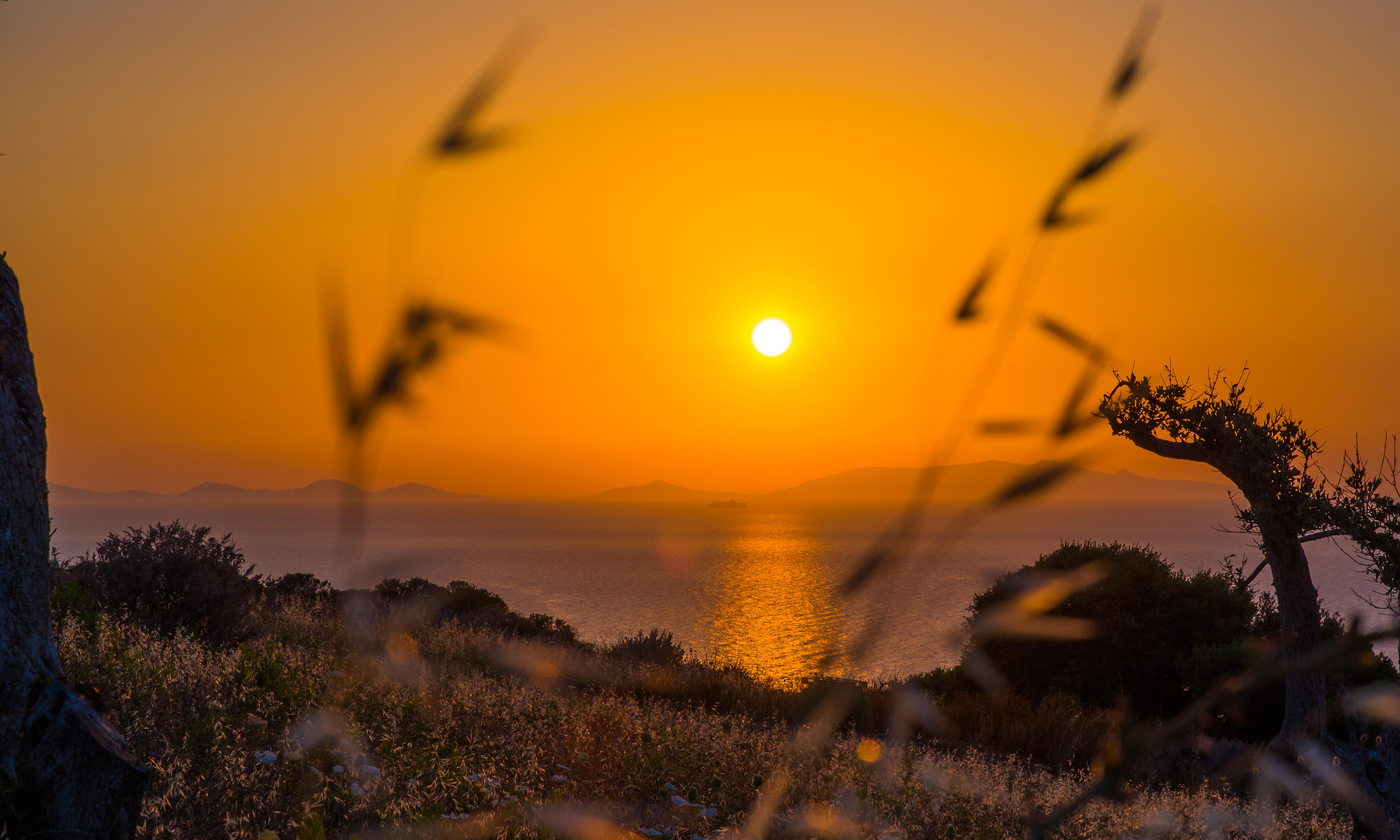 Bajaloglia Resort Castelsardo Εξωτερικό φωτογραφία
